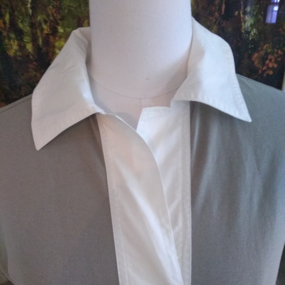 EUC Everlane polo dress